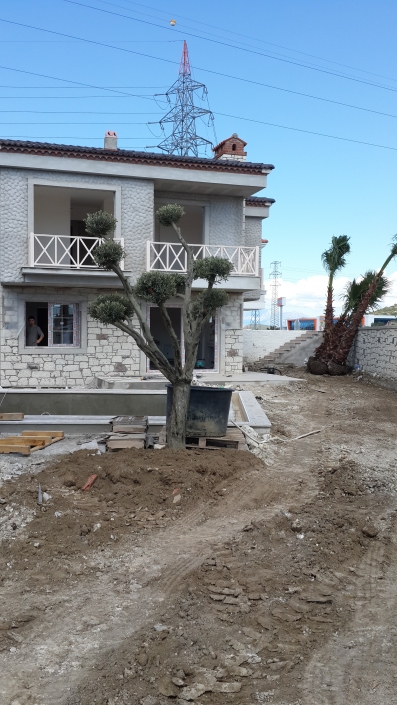 Ayazoglu Daireleri Urla