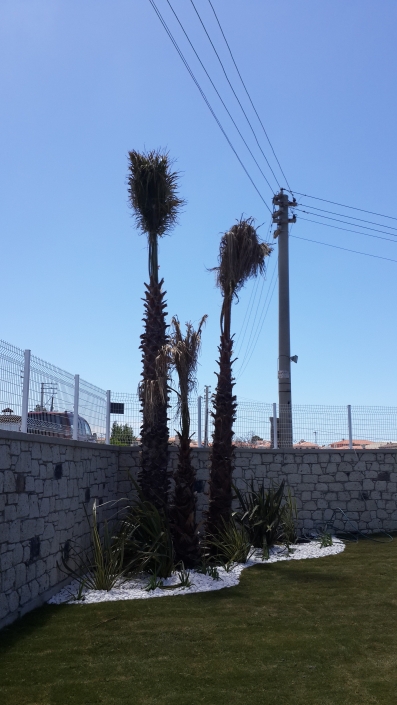 Ayazoglu Daireleri Urla