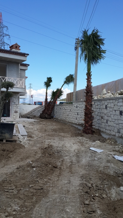 Ayazoglu Daireleri Urla