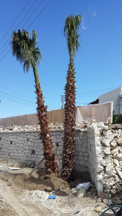 Ayazoglu Daireleri Urla