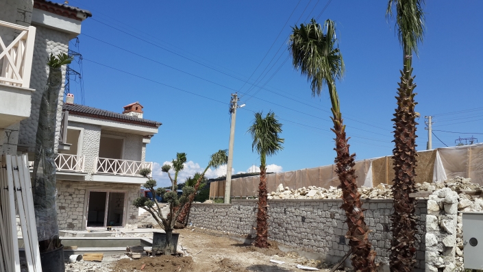 Ayazoglu Daireleri Urla