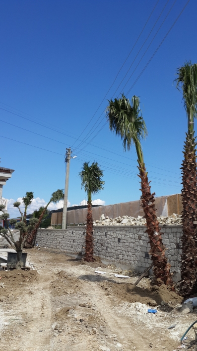 Ayazoglu Daireleri Urla